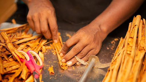 Accordance With Recognised Frameworks